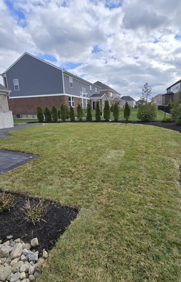 Sod cropped after Sod cropped after